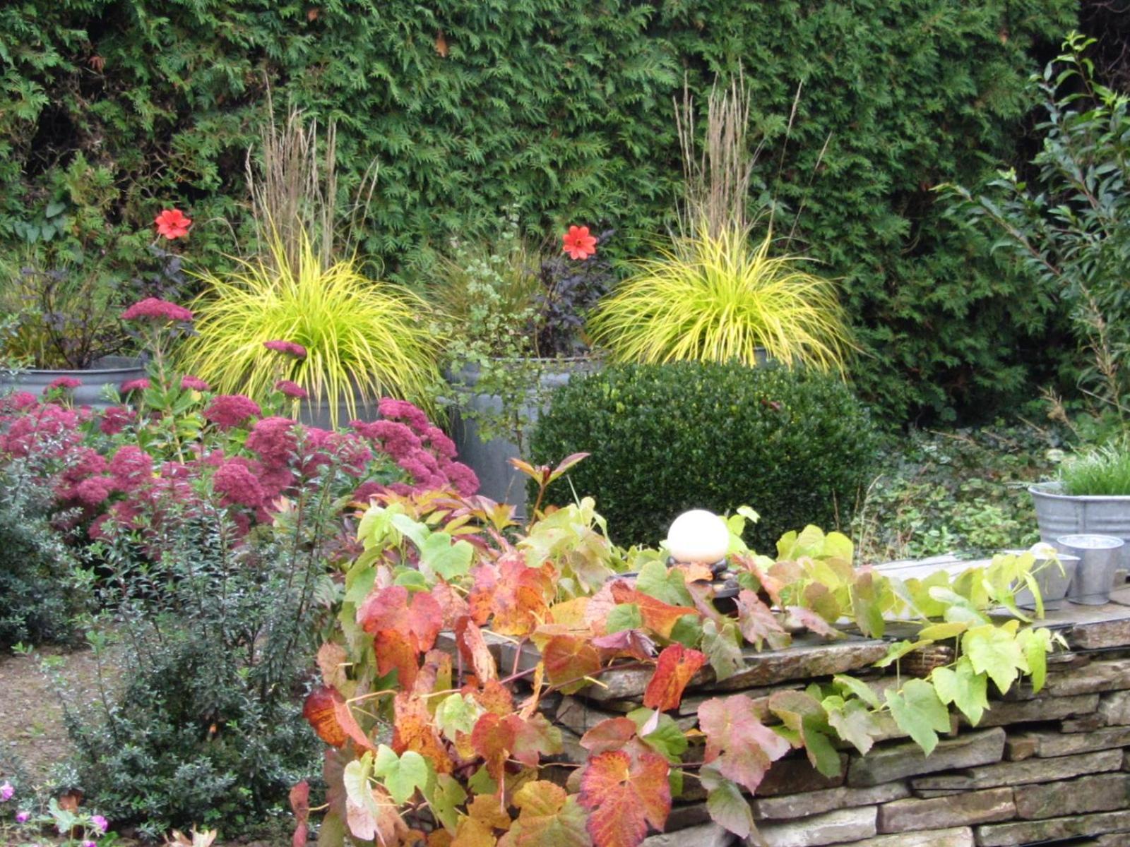 Reve gourmand Bed & Breakfast Beauraing Exterior foto